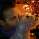 Profile Picture of rodakdavid11 (@rodakdavid) on Instagram