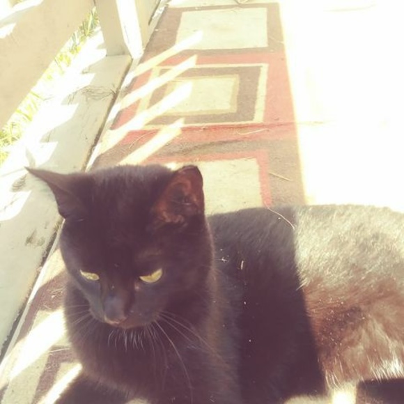 Profile Picture of Mike Piltz (@mpiltz27) on Poshmark