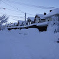 Profile Picture of Daniel Steed (@daniel-steed-7) on Quora