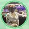 Profile Picture of Janice Minniefield (@Janice-Minniefield) on Facebook