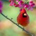 Profile Picture of Ellen Schmider (@ellen.schmider.5) on Facebook