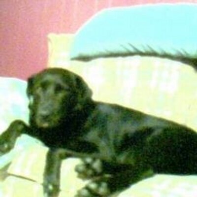 Profile Picture of Steve Weir (@steveweir10) on Twitter
