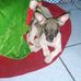 Profile Picture of Oswaldo León (@oswaldo.diazsanchez.77) on Facebook
