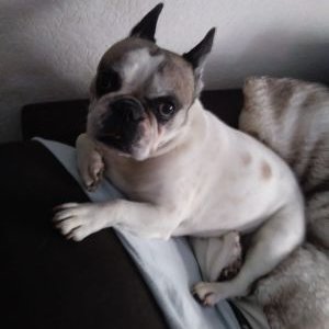 Profile Picture of Dirk Kaiser (@DirkKaiser6) on Twitter
