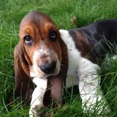 Profile Picture of Julie Goulet (@jules1539) on Pinterest