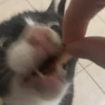 Profile Picture of Owen Holmes (@owen.holmes.1257) on Facebook