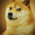 Profile Picture of Roman_Fortnite (@gr.roma_coxik_fortnite) on Instagram