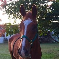 Profile Picture of Rita Lawrence (@rita-lawrence-4) on Quora