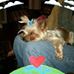 Profile Picture of James Rosenbaum (@james.rosenbaum.7315) on Facebook