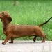 Profile Picture of Phyllis Blevins (@blevinsp50) on Pinterest