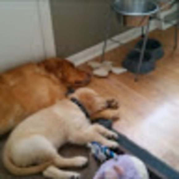 Profile Picture of Brian Champion (@i30limited99) on Poshmark