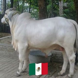 Profile Picture of Juan J Estudillo (@juan.j.estudillo.3) on Facebook