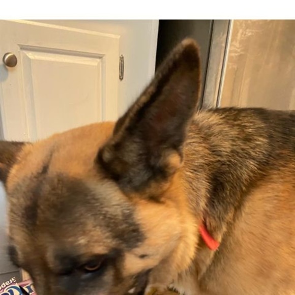 Profile Picture of Johndavid Mathes (@johndavidmathes) on Poshmark