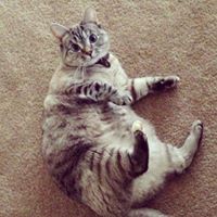 Sandra Lim - Quora Profile Picture of Sandra Lim (@sandra-lim-2) on Quora