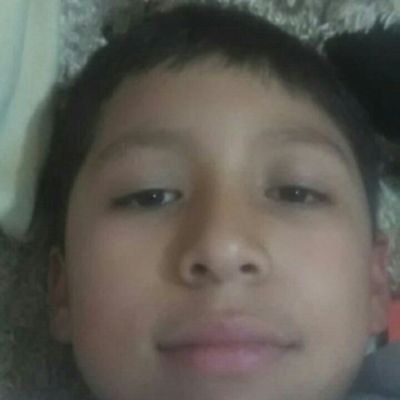 Profile Picture of Alexander Cobo (@Alexandercobo12) on Twitter