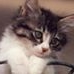 Profile Picture of Francis Wittig (@francis.wittig) on Facebook