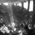 Profile Picture of LINETTE (@ihaka7ovvjoanne) on Instagram