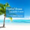 Profile Picture of Tommy Pearson (@@tropicalaroma) on Tiktok