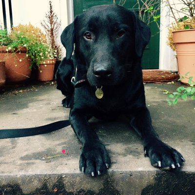 Profile Picture of Sam Whiting (@Sam_E_Whiting) on Twitter