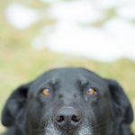 Profile Picture of Annette Engle (@annette_c_e) on Flickr