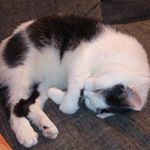 Thomas Teuber - Instagram Profile Picture of Thomas Teuber (@thomasteuber) on Instagram