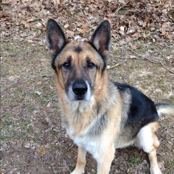 Profile Picture of Jacque Hanson (@clothespiecer) on Poshmark