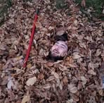 Profile Picture of Kyle Savage Englert (@Kyle-Savage-Englert) on Facebook