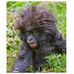 Profile Picture of Steve McElhaney (@Steve-McElhaney) on Facebook