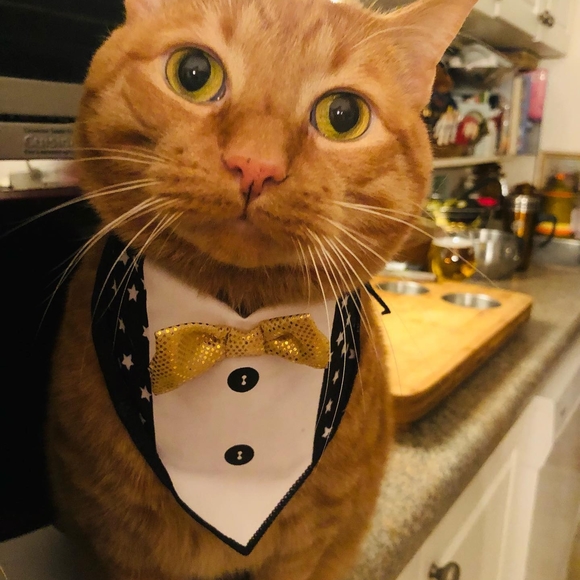 Laurie Mellor - Poshmark Profile Picture of Laurie Mellor (@la_mellor) on Poshmark