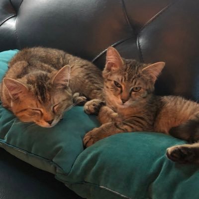 Profile Picture of Jason McGrew (@JasonMcGrew9) on Twitter