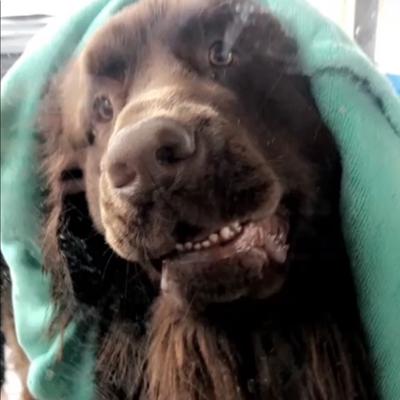 Allison Bruns - Poshmark Profile Picture of Allison Bruns (@abruns193) on Poshmark