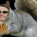 Profile Picture of Alex Zimmer (@Zcrazya) on Twitter