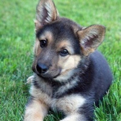 Profile Picture of Makayla Richardson (@Makayla98246414) on Twitter