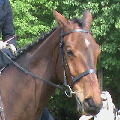 Profile Picture of Jiayan Liu (@YuanyuanLiu2) on Twitter