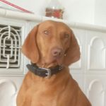 Profile Picture of Michael Kloos (@highlander050) on Instagram