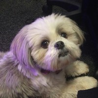 Profile Picture of Thomas Garbutt (@thomas-garbutt-8) on Quora