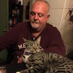 Profile Picture of Stephen Gandel (@stevegandel) on Instagram