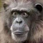 Profile Picture of Drew Hollinger (@kebeau46) on Instagram