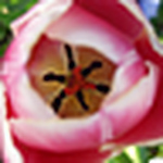 Profile Picture of Liam Bedwell (@Liam A Bedwell) on Flickr