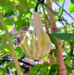 Profile Picture of Xenia Vasquez Palomino (@Xenia-Vasquez-Palomino) on Facebook