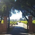 Profile Picture of Jeehee Kim (@jeehee.kim.1884) on Instagram