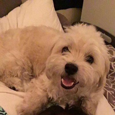 Profile Picture of Evan Daniel Suda (@thesudableta) on Twitter