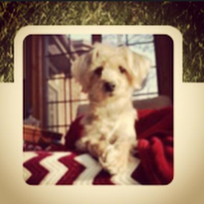 Profile Picture of Regina (@ReginaManning26) on Twitter