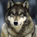 Profile Picture of Dale Alan Erikson (@dale.a.erikson) on Facebook