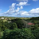 Profile Picture of Justin Ayoub (@justinayoub8) on Instagram