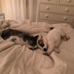 Profile Picture of Michael Wozney (@mwozney) on Instagram