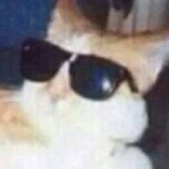 Profile Picture of Connar Ryan (@itsjustconnar) on Poshmark