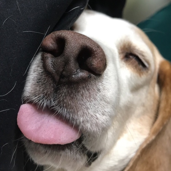 Profile Picture of Jade Gordon (@the_jade7) on Poshmark