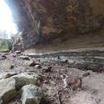 Profile Picture of Jim Worley (@worleyjim) on Instagram