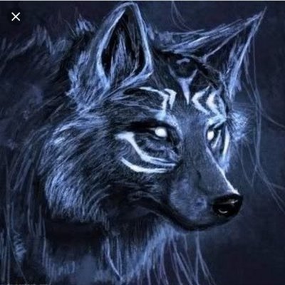 Profile Picture of Josh Wess (@Joshwess1) on Twitter